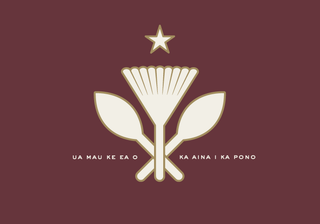 Illustration for article titled Here's How All 50 State Flags Would Look As App Icons